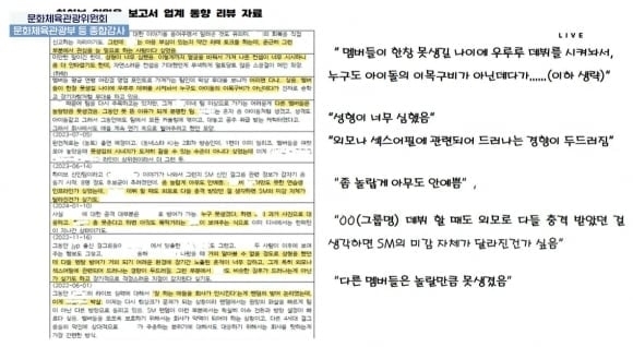 지난 24일 국회 문화체육관광위원회의 문화체육부 등에 대한 종합감사에서 하이브가 다른 연예기획사 소속 아이돌의 ‘외모 품평’을 하는 등 부적절한 내용이 담긴 내부 문건을 만들어 공유한 사실이 공개됐다. 민형배 더불어민주당 의원·국회방송