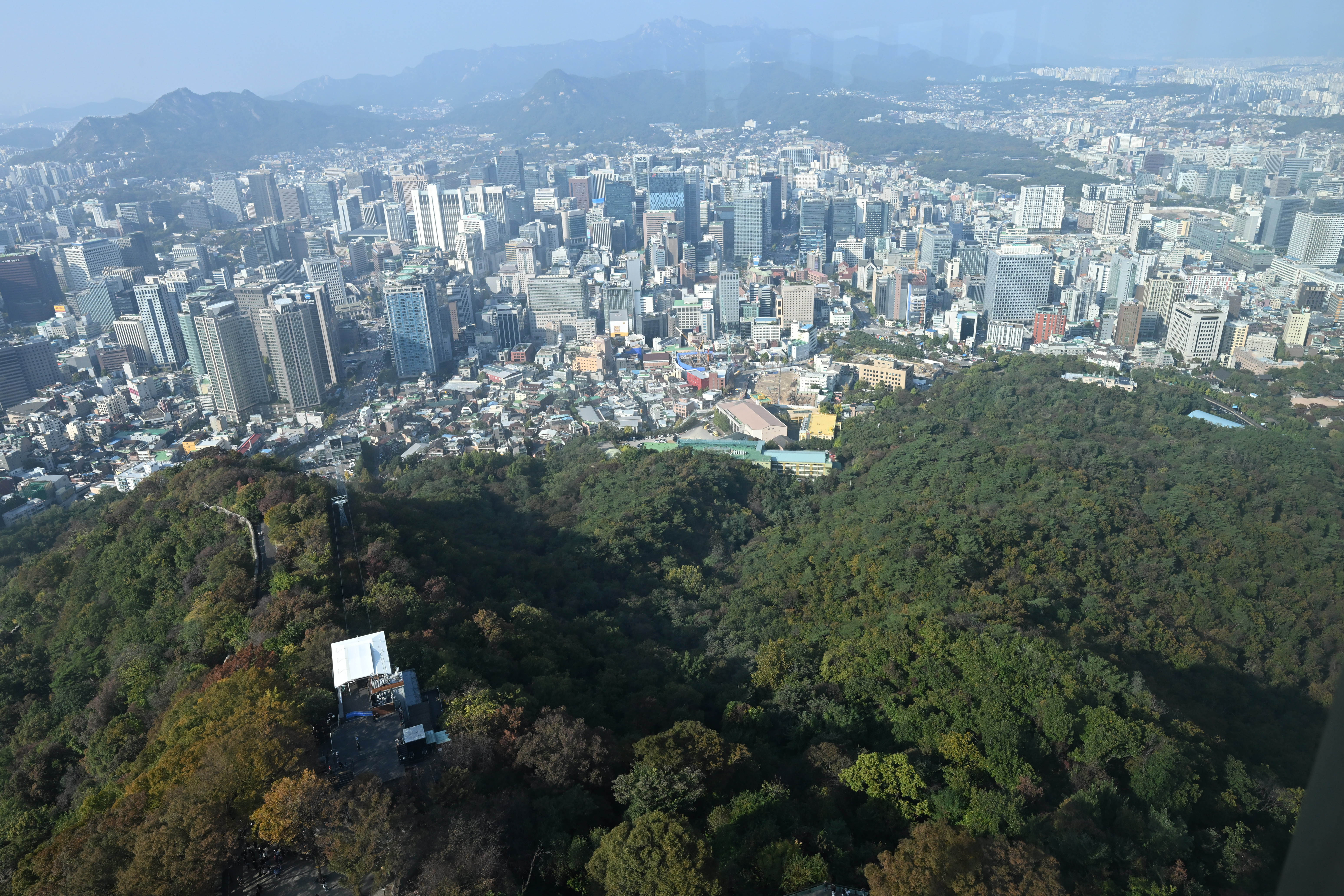 TF 기획사진-기후위기와 남산 단풍. 2024.10.24 홍윤기 기자