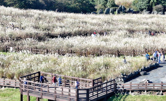 산굼부리의 가을