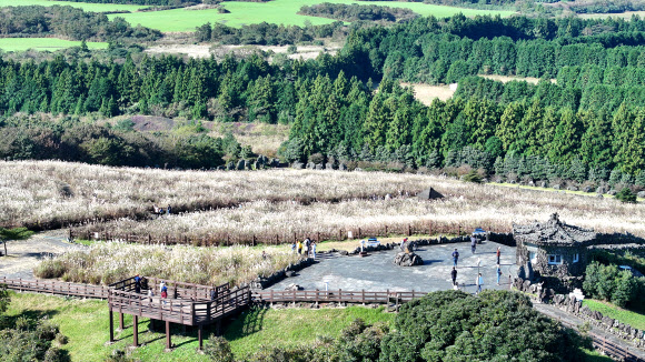 산굼부리의 가을