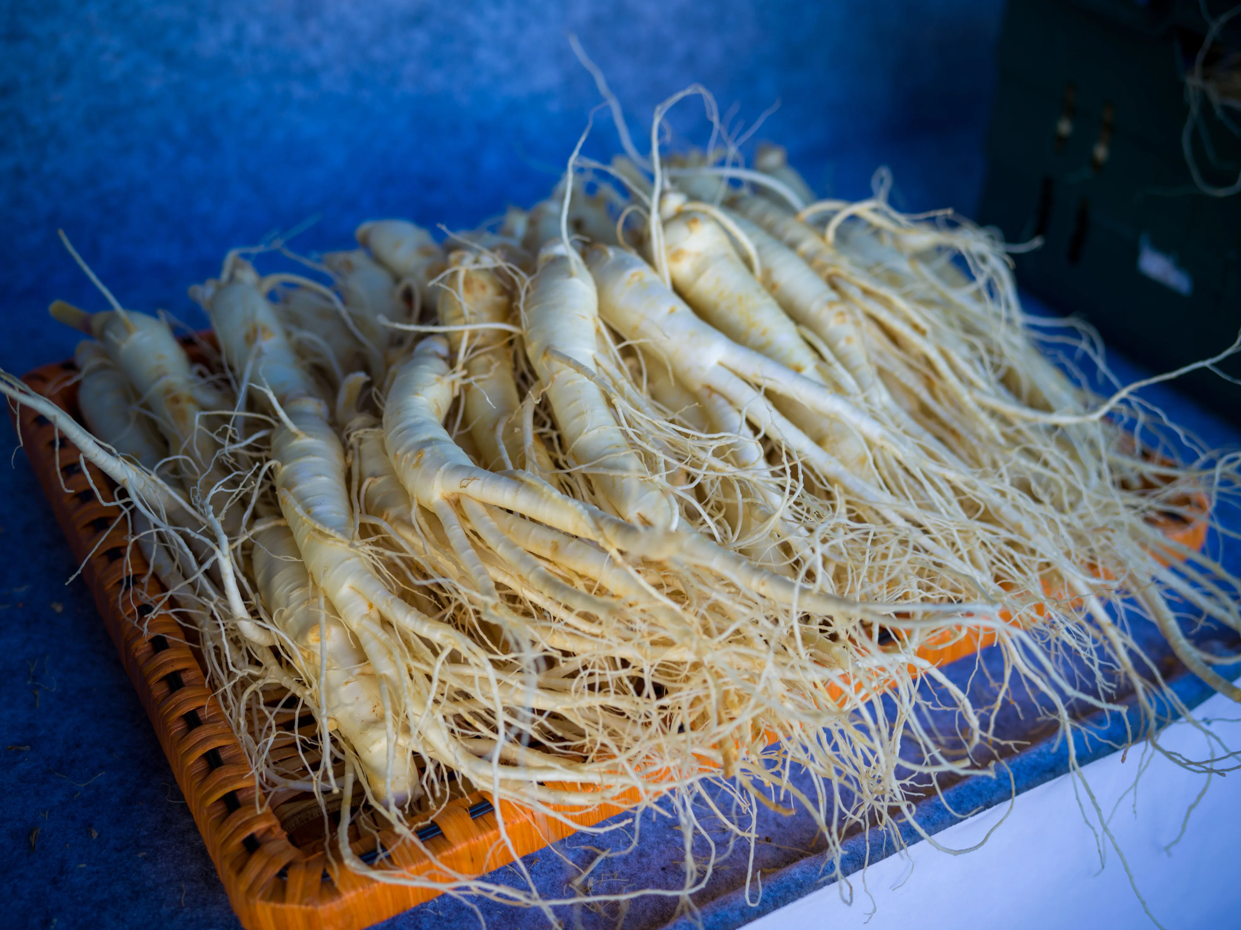 금산인삼(수삼).
금산군 제공