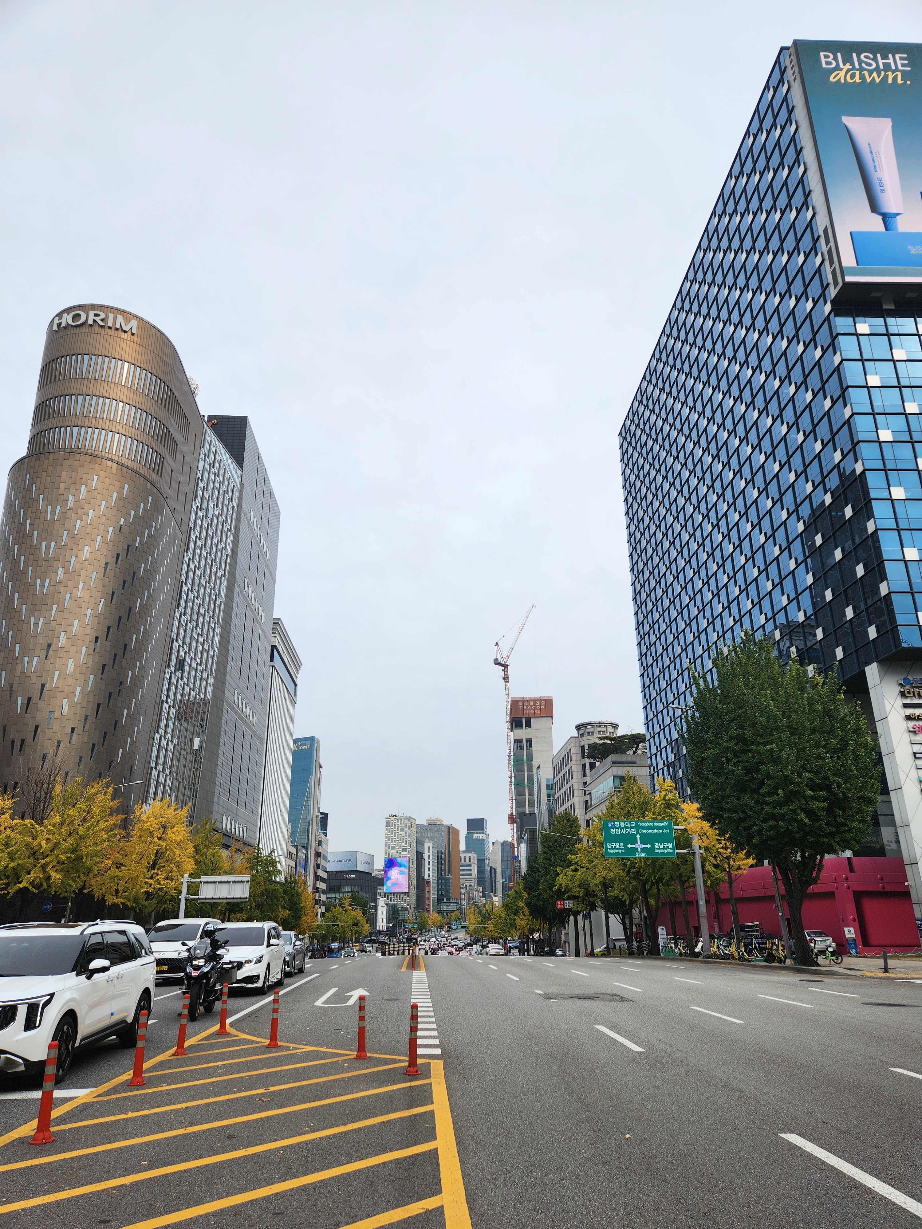 서울 강남구 도산대로의 평일 모습. 특히 도산공원 인근 상권에는 명품숍과 유명 식당들이 몰려 인기가 높다.