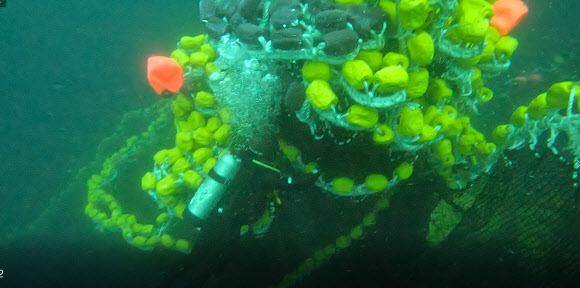 금성호 침몰사고 수중 수색