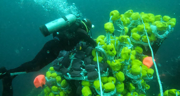 금성호 침몰사고 수중 수색