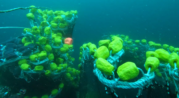 금성호 침몰사고 수중 수색