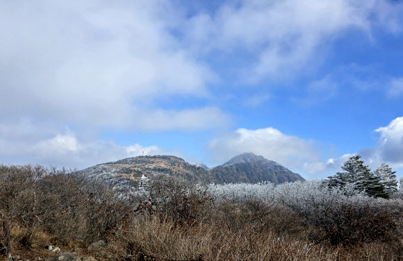 21일 경남 산청군 지리산 장터목에 상고대가 피어 있다. 2024.11.24. 지리산국립공원 경남사무소 제공