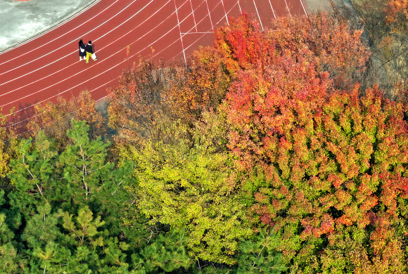 얼음이 얼기 시작한다는 절기 소설을 하루 앞둔 21일 광주 북구 전남대학교에서 학생들이 교정을 거닐고 있다. 2024.11.21. 연합뉴스