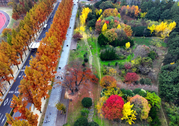 얼음이 얼기 시작한다는 절기 소설을 하루 앞둔 21일 광주 북구 전남대에서 학생들이 단풍 든 교정을 걷고 있다. 2024.11.21. 연합뉴스