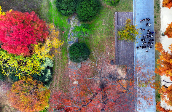 얼음이 얼기 시작한다는 절기 소설을 하루 앞둔 21일 광주 북구 전남대에서 학생들이 단풍 든 교정을 걷고 있다. 2024.11.21. 연합뉴스