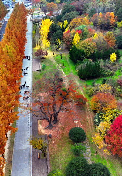 얼음이 얼기 시작한다는 절기 소설을 하루 앞둔 21일 광주 북구 전남대에서 학생들이 단풍 든 교정을 걷고 있다. 2024.11.21. 연합뉴스
