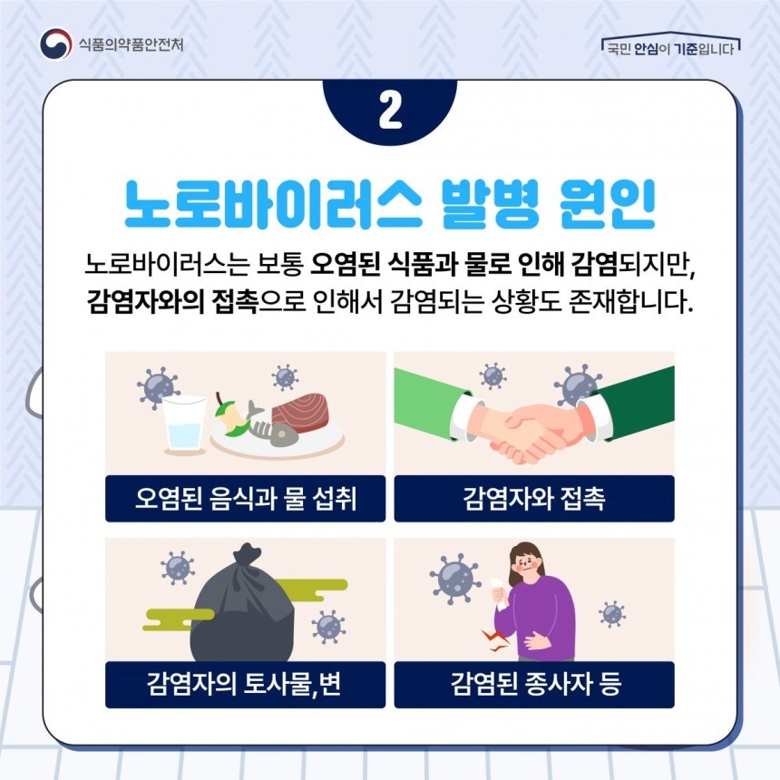 노로바이로스 발병 원인 그래픽. 식약처 제공