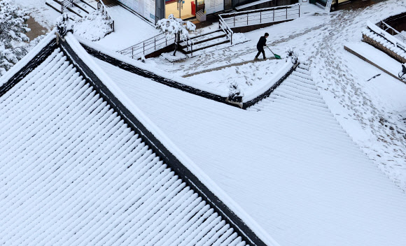 서울 등 중부 지역에 많은 눈이 내린 27일 오전 서울 종로구 조계사에 눈이 쌓여 있다. 2024.11.27  연합뉴스