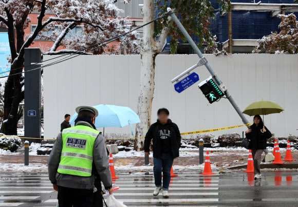 27일 서울 대학로 보행자 신호등이 눈의 무게를 견디지 못하고 부러진 가로수로 인해 기울어져 있다. 2024.11.27  연합뉴스