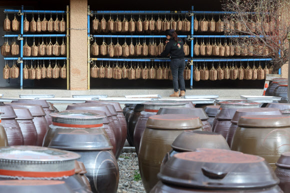 2일 대관령 기슭인 강원 강릉시 성산면 보광리의 한 전통 장 공장 처마에 메주가 주렁주렁 달려 있다. 2024.12.2  연합뉴스