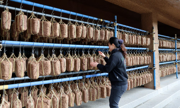2일 대관령 기슭인 강원 강릉시 성산면 보광리의 한 전통 장 공장 처마에 메주가 주렁주렁 달려 있다. 2024.12.2  연합뉴스