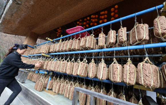 2일 대관령 기슭인 강원 강릉시 성산면 보광리의 한 전통 장 공장 처마에 메주가 주렁주렁 달려 있다. 2024.12.2  연합뉴스