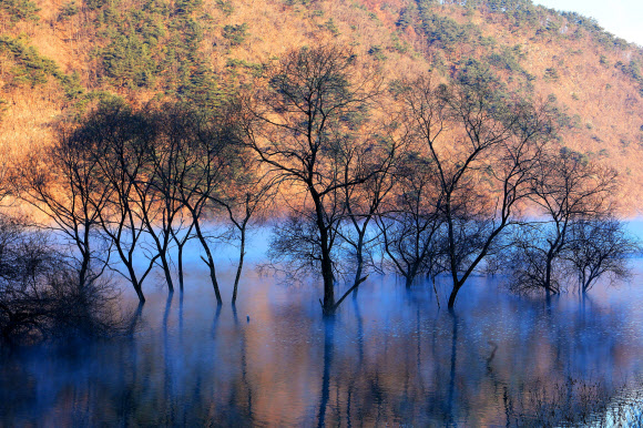 10일 오전 강원 인제군 소양호 일원에 물안개가 피어올라 몽환적인 분위기를 연출하고 있다. 2024.12.10. 인제군 제공