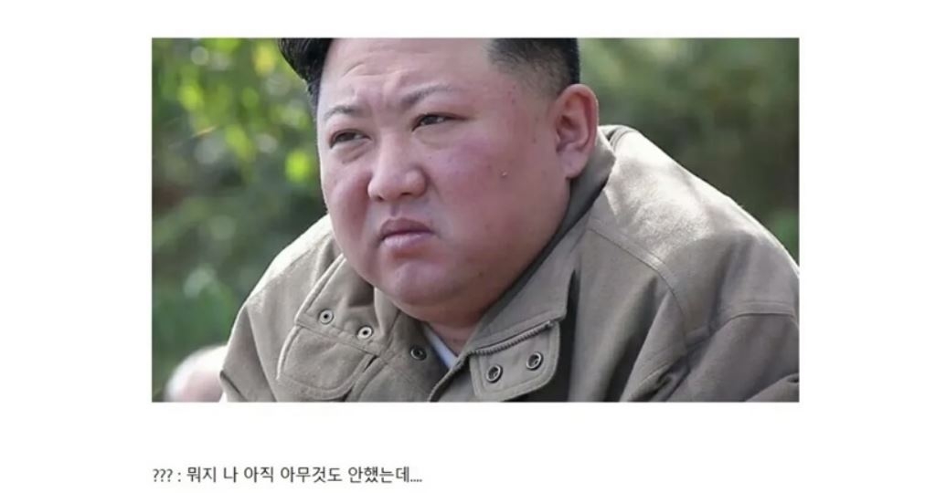 비상계엄 사태 후 인터넷 커뮤니티에 올라온 윤석열 대통령을 풍자하는 밈. 인터넷 커뮤니티 오늘의 짤방 캡처