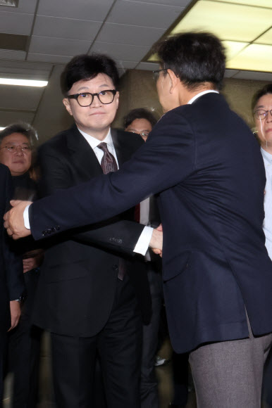 ‘완성되지 못한 포옹’