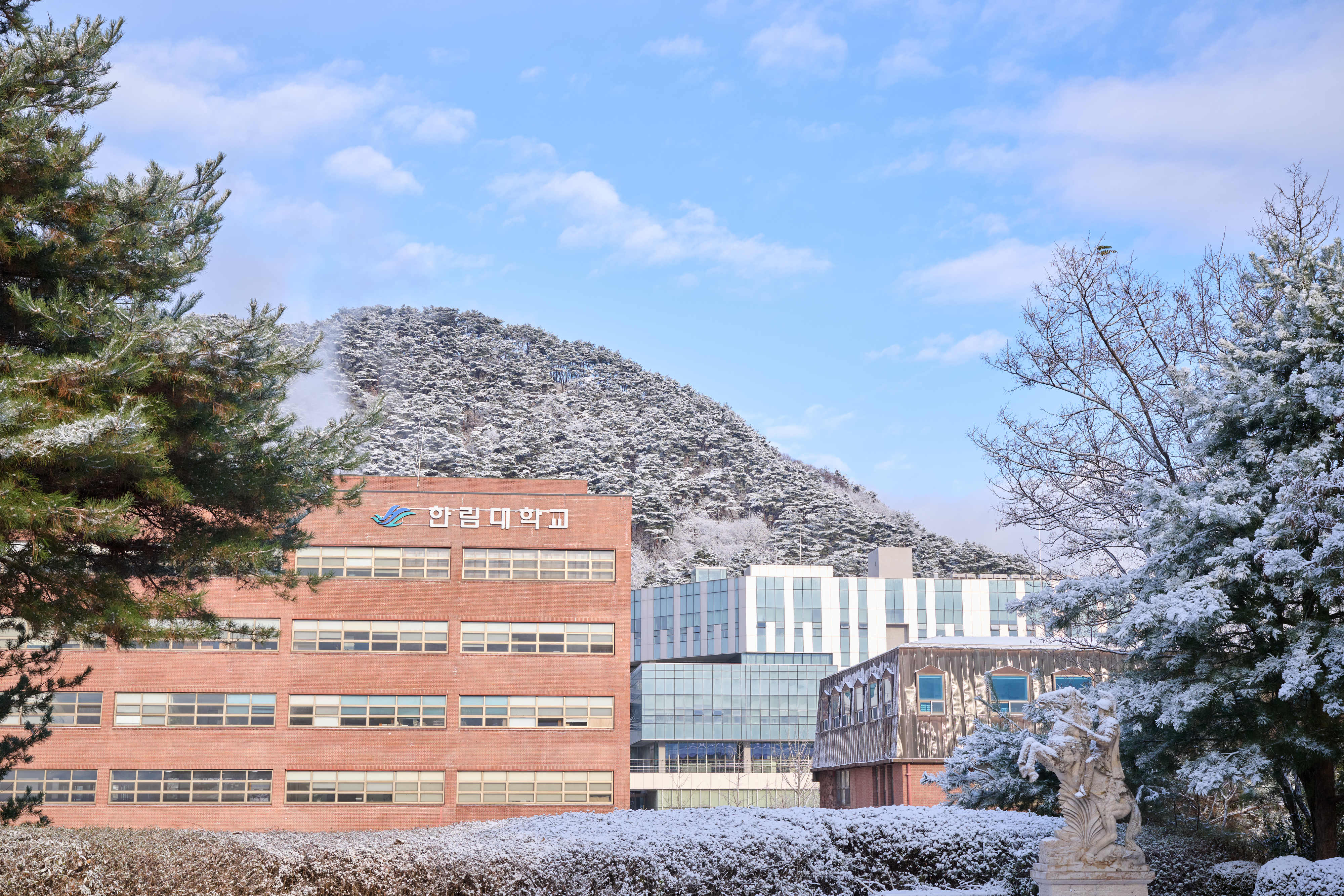 한림대 전경. 한림대 제공