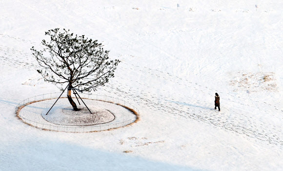 밤사이 눈이 내린 21일 오전 서울 종로구 송현공원에 눈이 쌓여 있다. 2024.12.21  연합뉴스