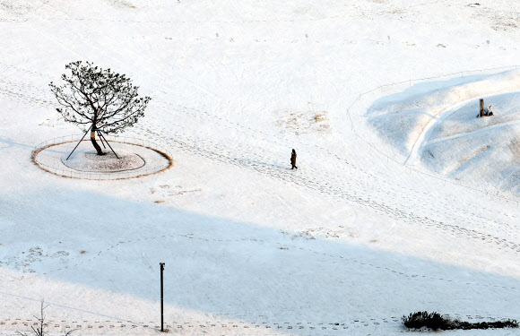 밤사이 눈이 내린 21일 오전 서울 종로구 송현공원에 눈이 쌓여 있다. 2024.12.21  연합뉴스