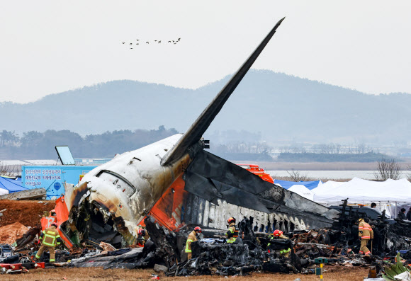 30일 오전 전남 무안군 무안국제공항 제주항공 여객기 충돌 폭발 사고 현장 인근에서 새 무리가 비행하고 있다. 2024.12.30  연합뉴스