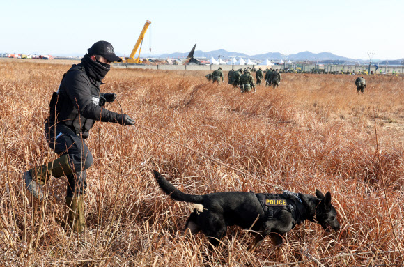 3일 전남 무안국제공항 제주항공 여객기 참사 현장에서 경찰과 경찰수색견이 수색 작업하고 있다. 2025.1.3 연합뉴스
