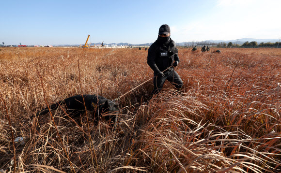 3일 전남 무안국제공항 제주항공 여객기 참사 현장에서 경찰이 수색 작업하고 있다. 2025.1.3 연합뉴스