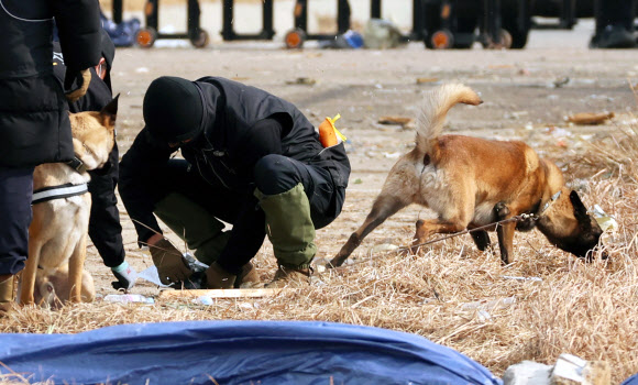 제주항공 여객기 참사 9일째인 6일 오전 전남 무안공항에서 경찰 과학수사대와 수색견들이 사고 현장 주변을 수색하고 있다. 2025.1.6. 연합뉴스