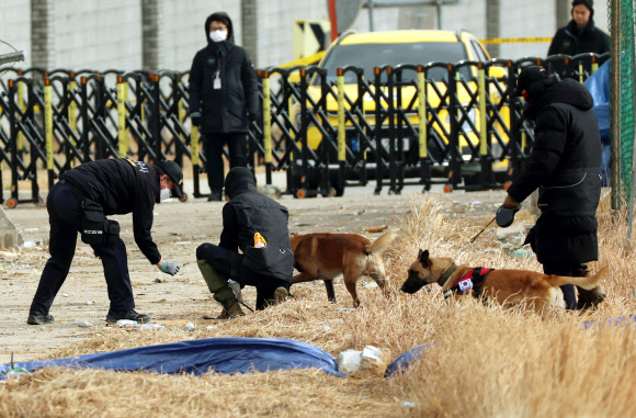 제주항공 여객기 참사 9일째인 6일 오전 전남 무안공항에서 경찰 수색견들이 사고 현장 주변을 수색하고 있다. 2025.1.6. 연합뉴스