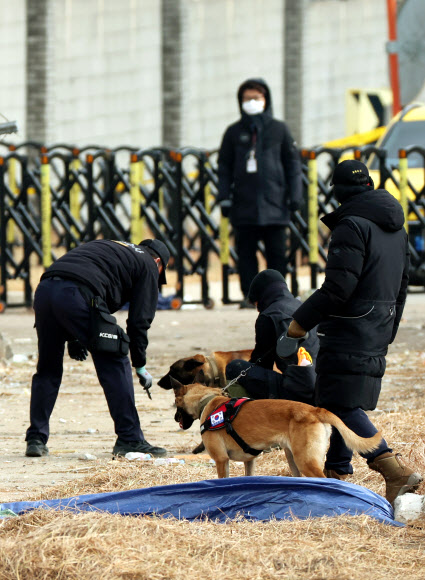 제주항공 여객기 참사 9일째인 6일 오전 전남 무안공항에서 경찰 과학수사대와 수색견들이 사고 현장 주변을 수색하고 있다. 2025.1.6. 연합뉴스