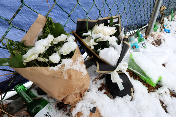 제주항공 여객기 참사 열흘째인 7일 전남 무안군 무안국제공항 사고 현장 울타리에 놓인 조화와 물품이 흰 눈에 덮여 있다. 2025.1.7. 연합뉴스