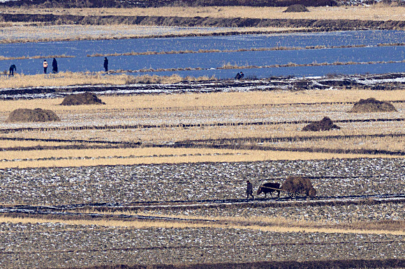 북한이 ‘신형 극초음속 중장거리 탄도미사일’ 시험발사에 성공했다고 주장한 7일 경기도 파주시 오두산 통일전망대에서 바라본 북한 황해북도 개풍군에서 주민이 소 달구지를 몰고 있다.  2025.1.7  연합뉴스