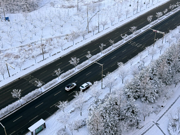 전북 지역에 많은 눈이 내린 8일 오전 전주시 완산구 효자동 일대가 눈으로 덮여 있다. 2025.1.8 연합뉴스