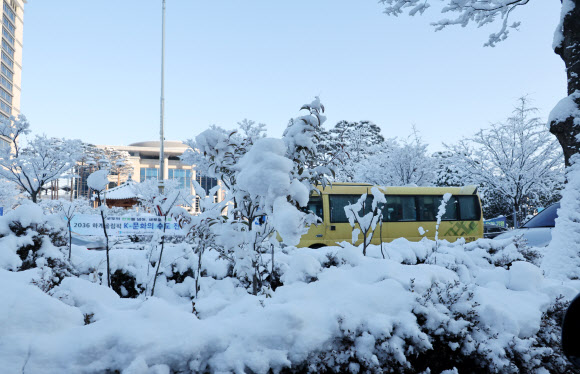 전북 지역에 많은 눈이 내린 8일 오전 전주시 완산구의 한 도로변 화단이 눈으로 덮여 있다. 2025.1.8 연합뉴스