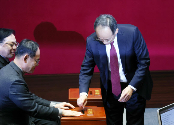 재표결 투표하는 추경호 의원