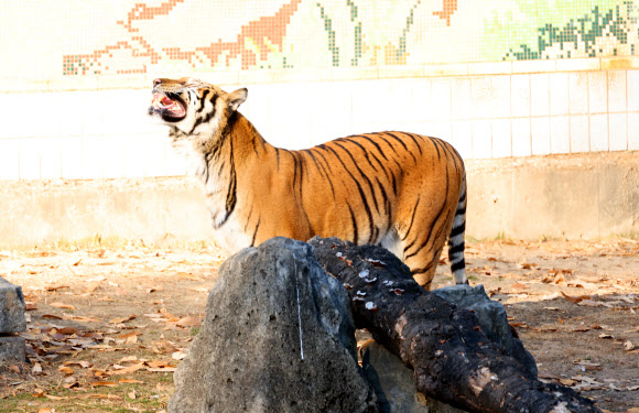 ‘아이 따뜻해’