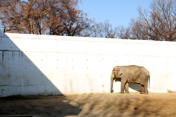 ‘겨울엔 햇볕이 중요해’