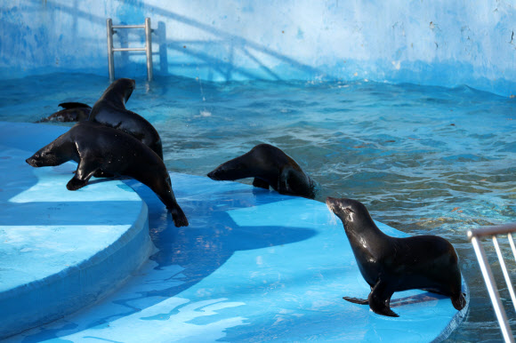 ‘추운 겨울이 좋아’