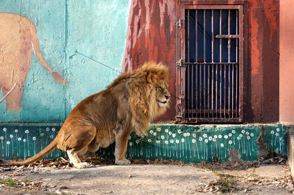 ‘문 좀 열어줄래’