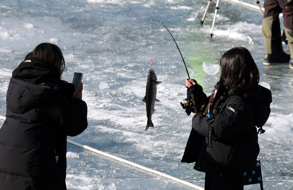 ‘2025 산천어축제’가 11일 개막한 가운데 축제장인 강원 화천군 화천읍 화천천 축제장을 찾은 관광객이 잡은 산천어를 들어보이며 기념촬영을 하고 있다.  2025.1.11  연합뉴스
