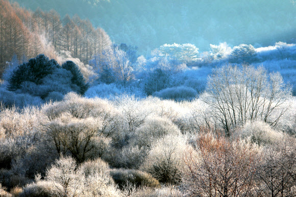 비밀의 정원에 내린 서리