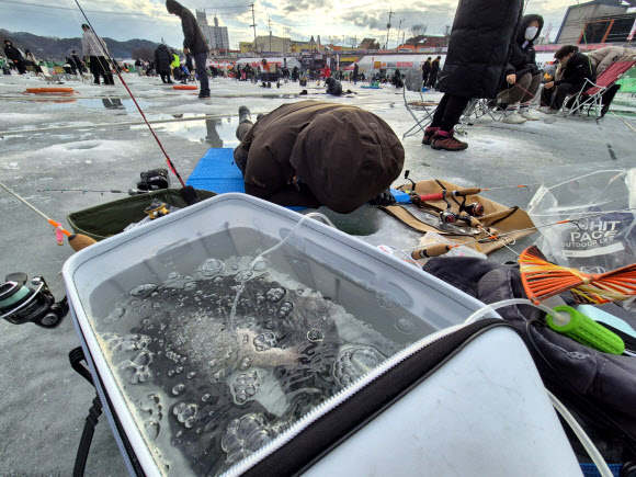 설 연휴 첫날인 25일 오후 화천산천어축제가 열리고 있는 강원 화천군 화천천을 찾은 한 시민이 낚시를 하고 있다. 2025.1.25. 연합뉴스
