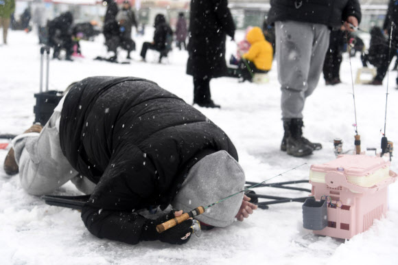 눈이 내린 27일 오전 강원 화천군에서 열리고 있는 산천어축제를 찾은 관광객이 낚시 삼매경에 빠져 있다.  2025.1.27  화천군 제공