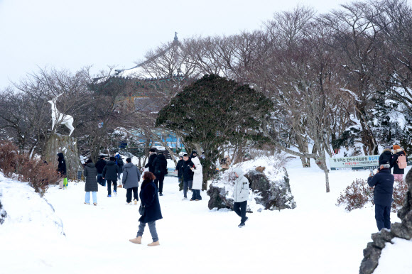 31일 오전 제주 한라산 1100고지를 찾은 관광객이 설경을 즐기고 있다. 2025.1.31 연합뉴스