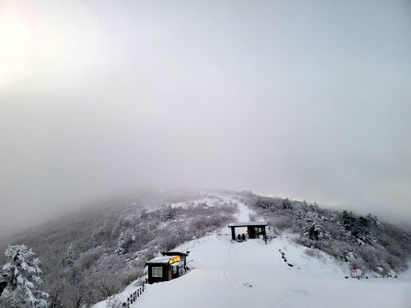 지리산 노고단의 설경