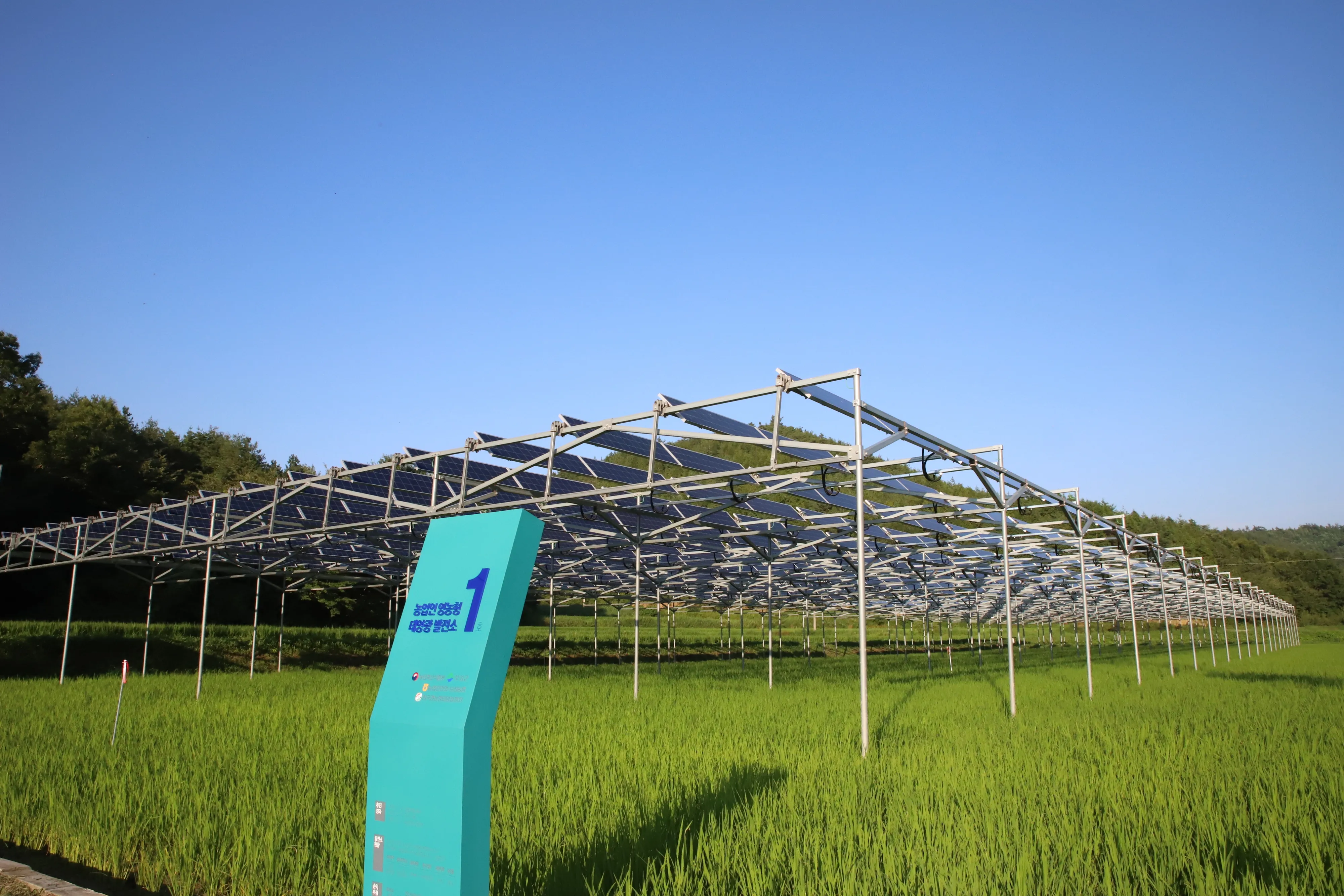 보성 영농형 태양광발전단지.
전남도 제공