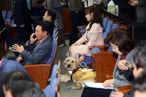 국민의힘 김예지 의원과 새 안내견 태백이가 27일 서울 여의도 국회에서 열린 의원총회에 참석해 있다. 2025.2.27  연합뉴스