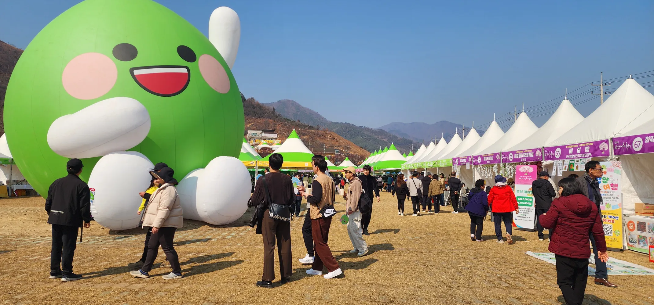 ‘제24회 광양매화축제’가 차 없는 거리, 일회용품과 바가지요금이 없는 3무 축제로 자리매김하고 있다.